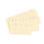 Avery Shipping Tags No 3 96x48mm Buff 1000 Box