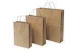 Capri Paper Bag Small with Handle Brown 250 Pack