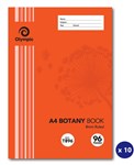 Olympic Botany Book A4 96 Page 8mm Ruled 105070 10 per Pack